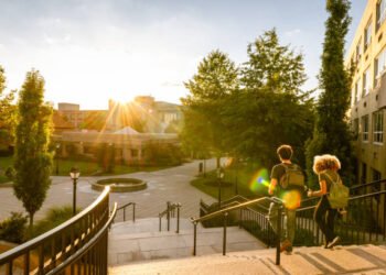 Top Skills Students Use to Earn Six Figures in the USA